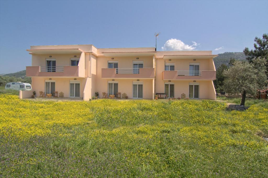 Studios Dimitraki Skala Rachoni  Bilik gambar
